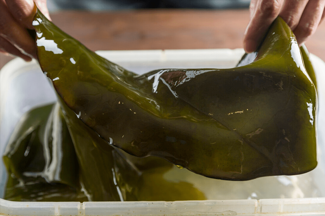 清洗海带别用清水,老厨师教你2招,泥沙洗得干净,清爽不腥气