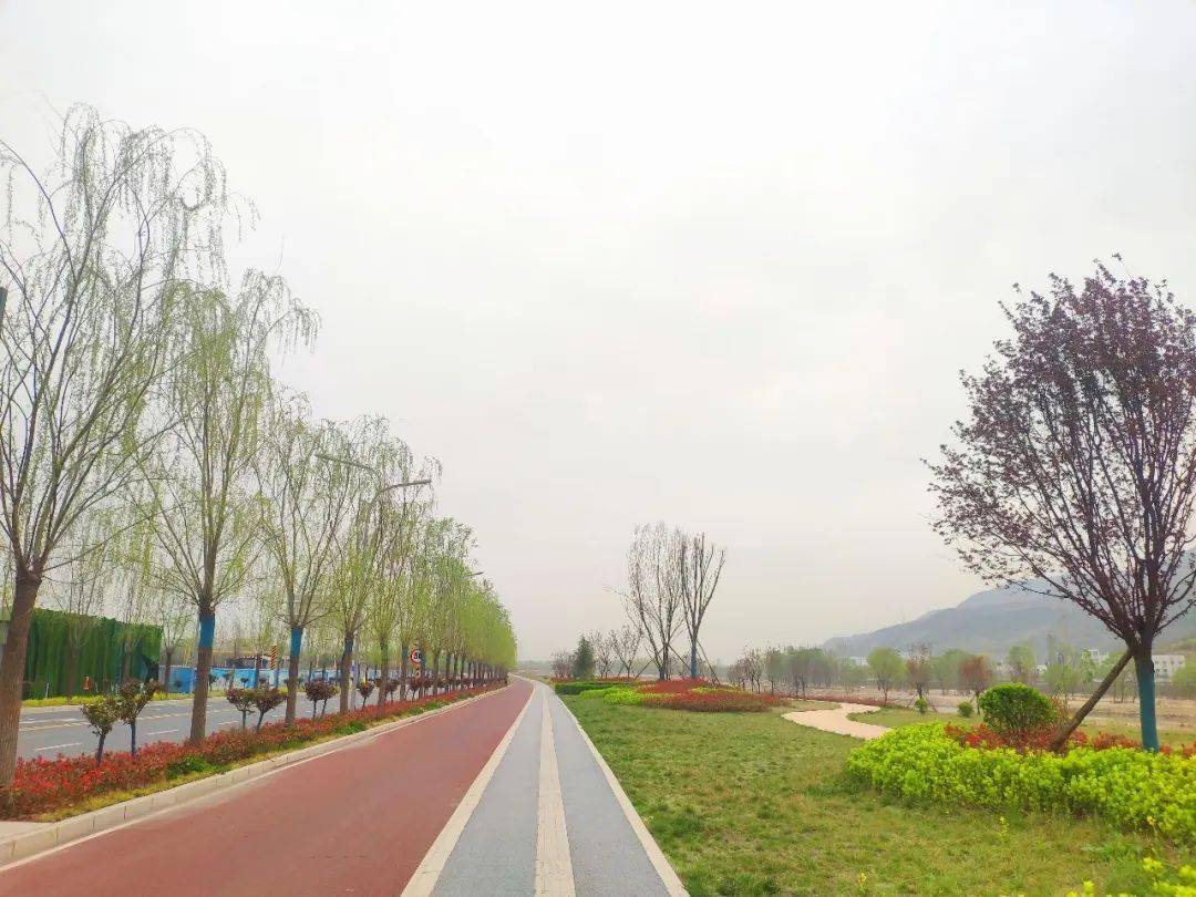 蓝田美景打卡推荐五灞河大道绿柳飘堤春景美如画