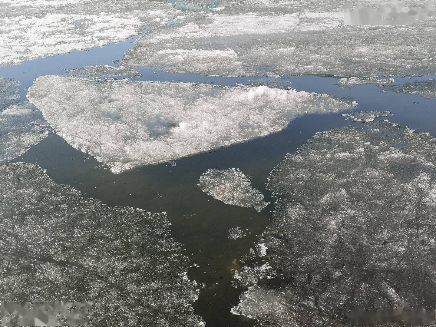 冰雪消融的河面图片