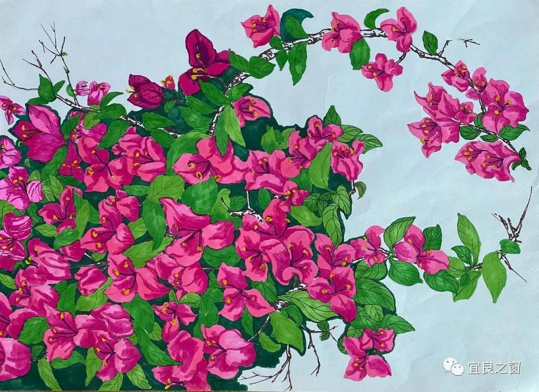 宜良县"妙手生花——三角梅"学生书画作品展示_廖雄_审核_the