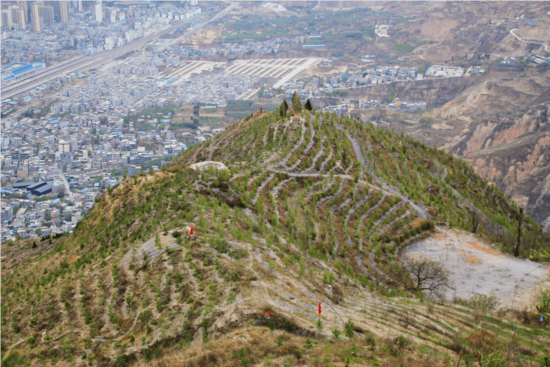 北山生态修复工程场面壮观_绿化_武都区_东江镇