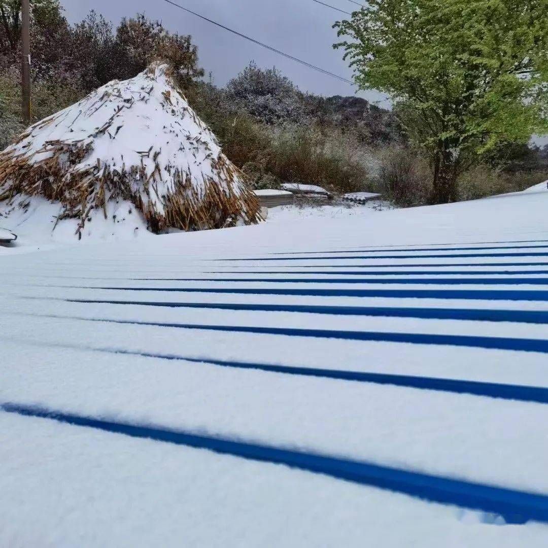 宣威下雪图片