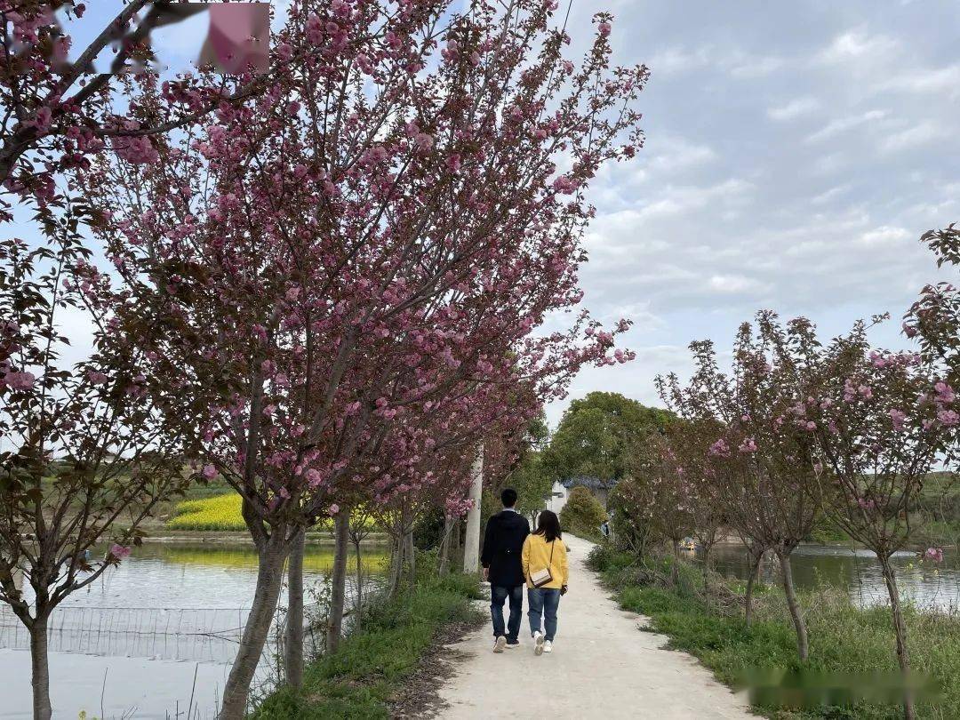 要火漢中有座桃花島讓人流連忘返您去過嗎