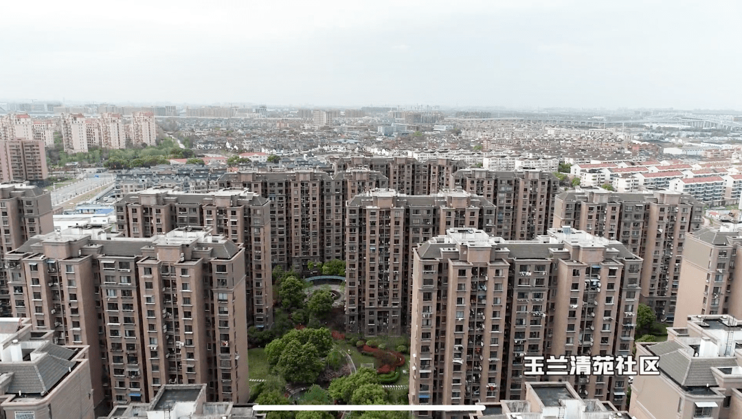 徐泾镇玉兰清苑社区有住户近7000人,其中,60岁以上老年人占比42%.