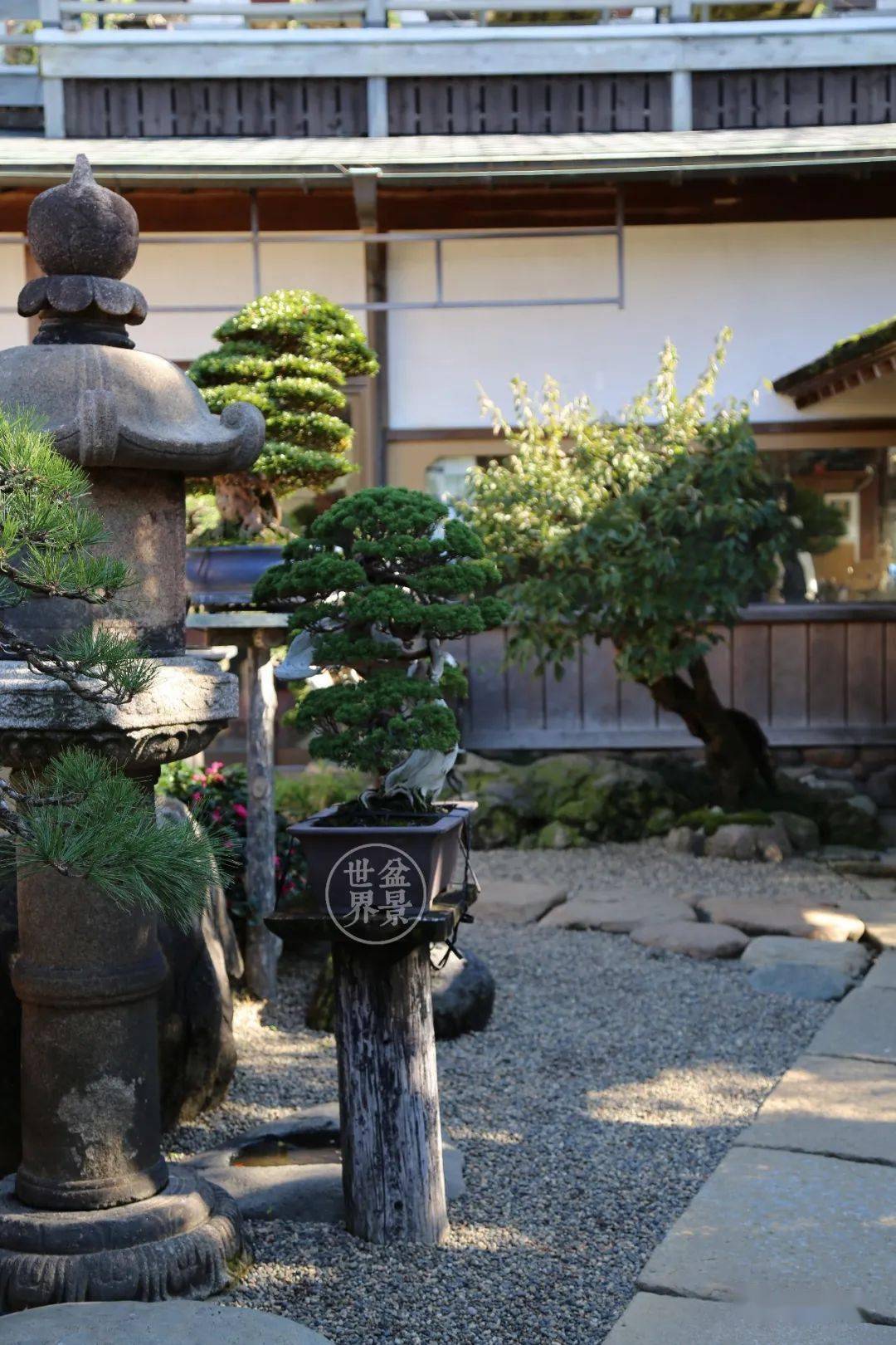 造价超10亿日本最美的盆景园