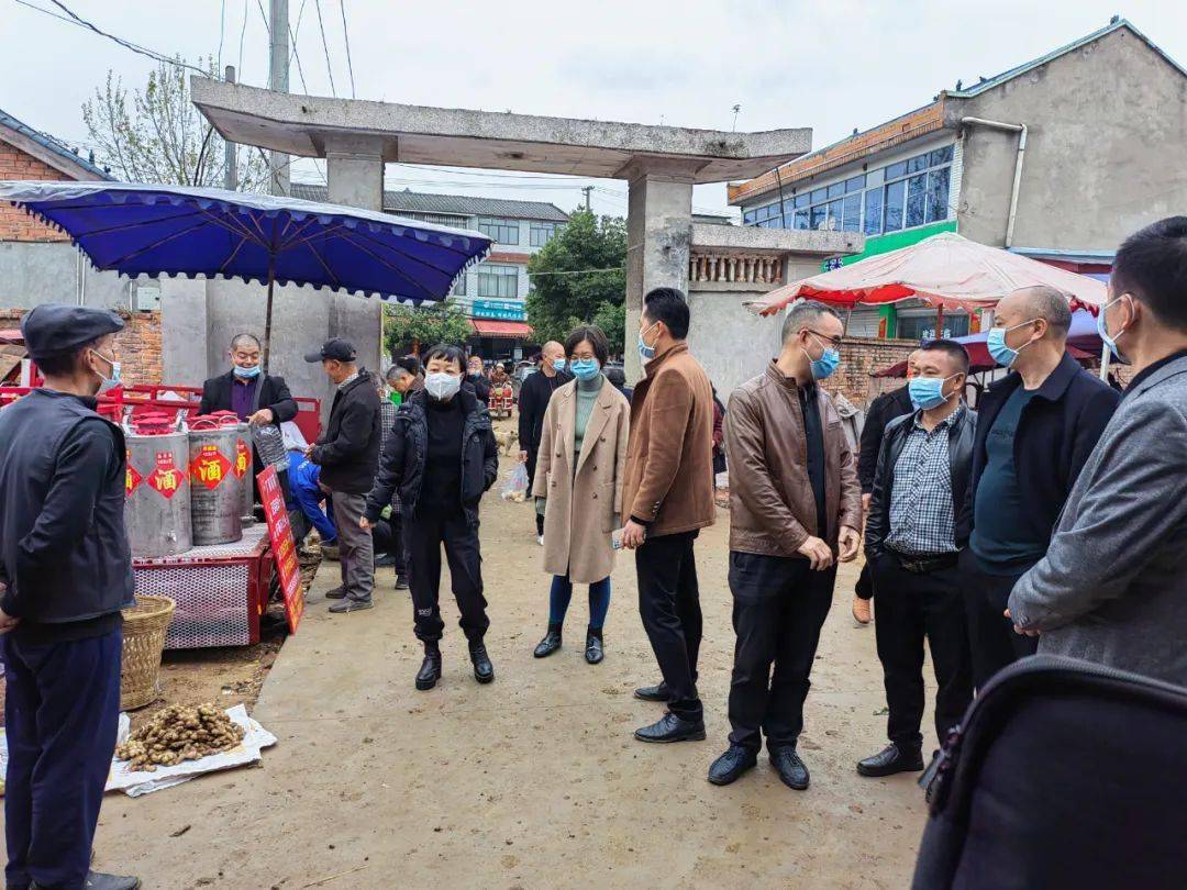 人大要闻市人大常委会副主任崔艳一行调研镇街道人大工作