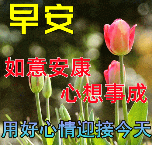 中老年表情包疫情闹心问候暖心不忘初心牵挂在心
