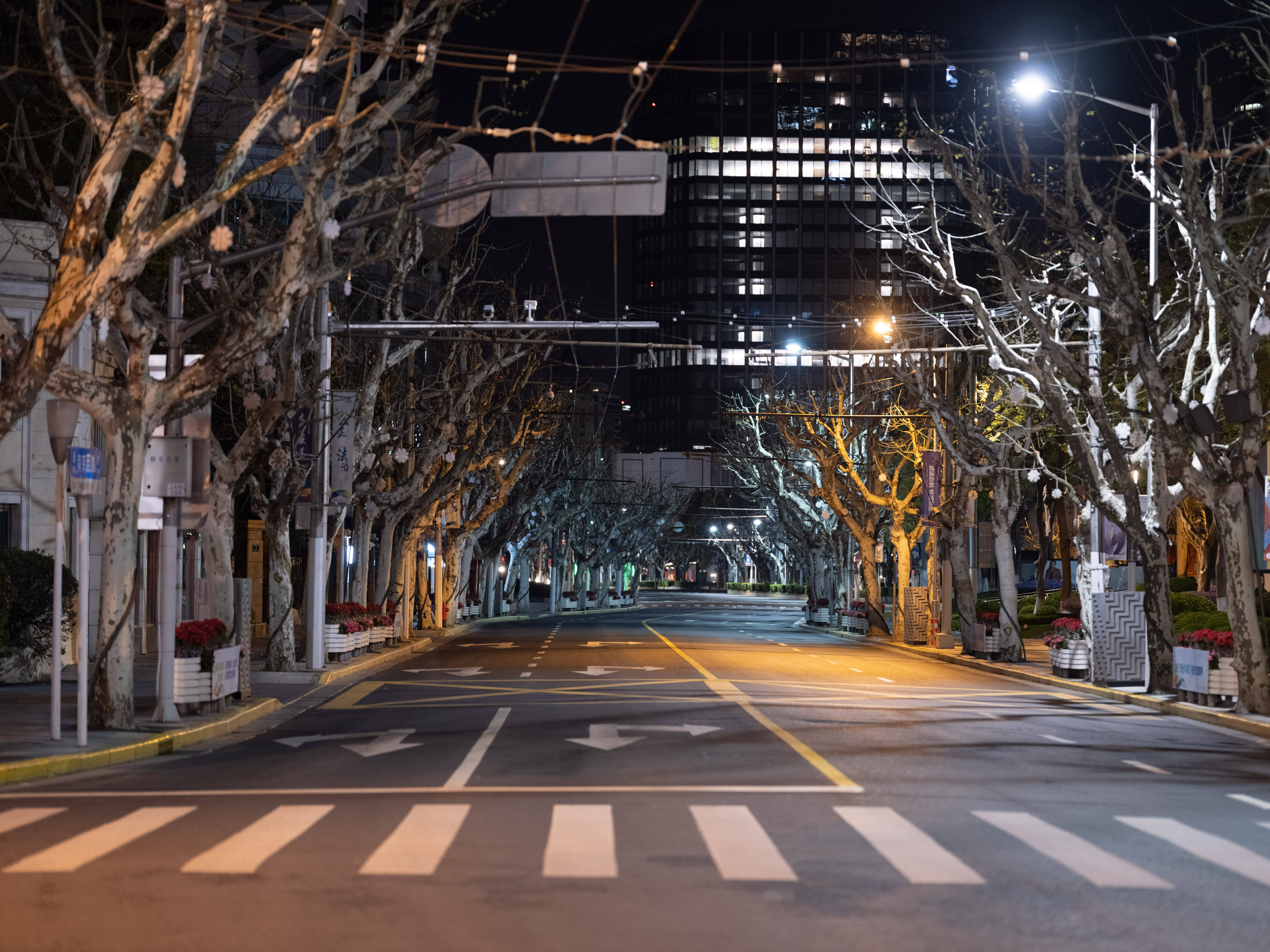 上海街景实拍夜晚图片