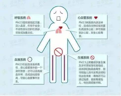 八戒体育12个最经典的室内健身举动(图2)