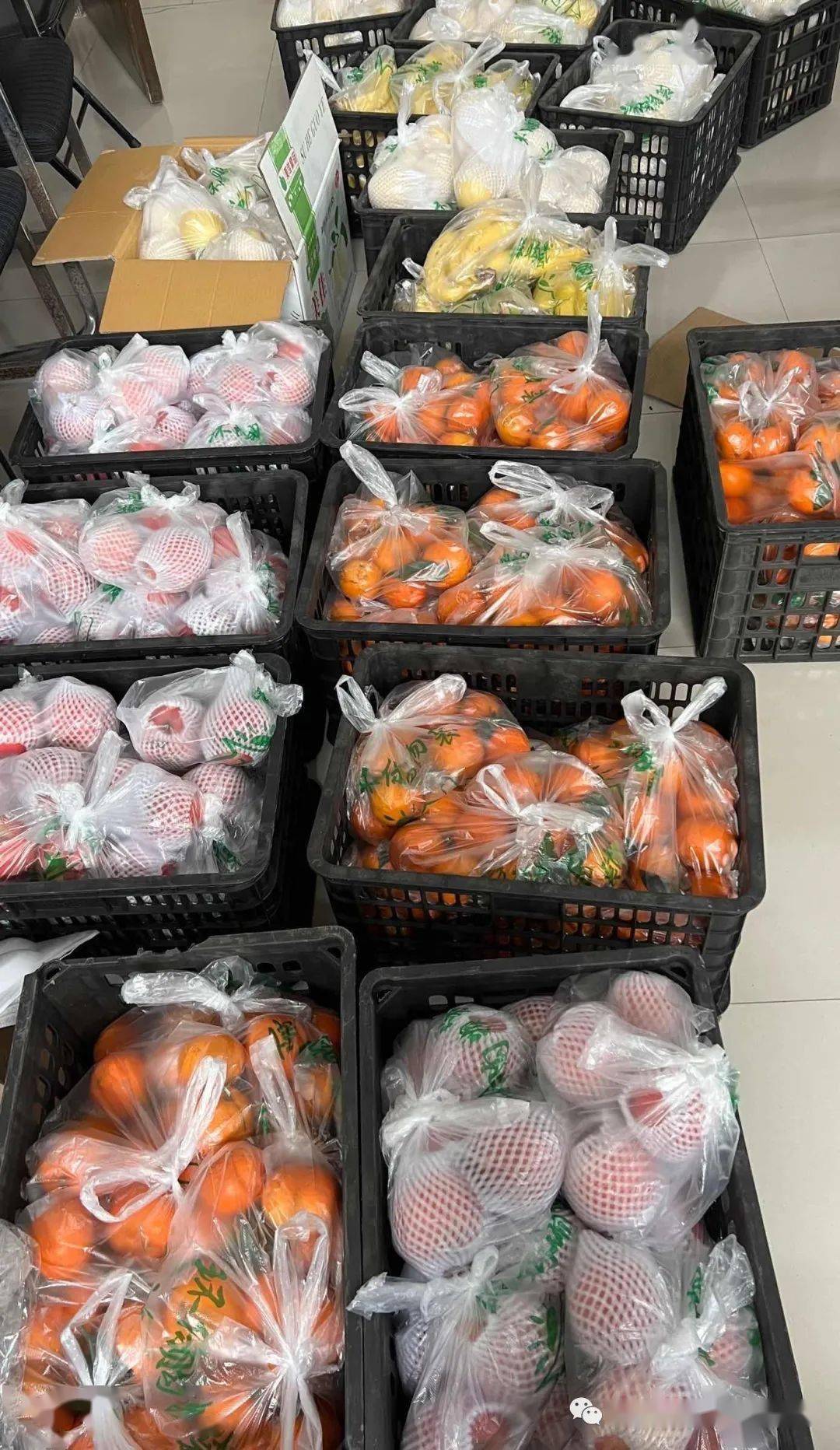 "沃柑很甜,还有吗?""天天都有".