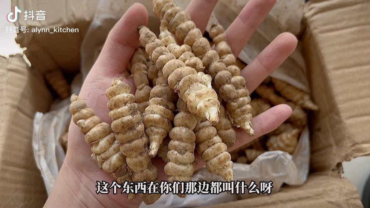 把它做成小菜口感脆嫩無纖維甘露地溜兒螺絲菜地牯牛寶塔菜地環地葫蘆