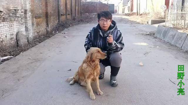 小亮3000块钱买了台二手冰柜金毛直说亏了你们看了觉得值吗