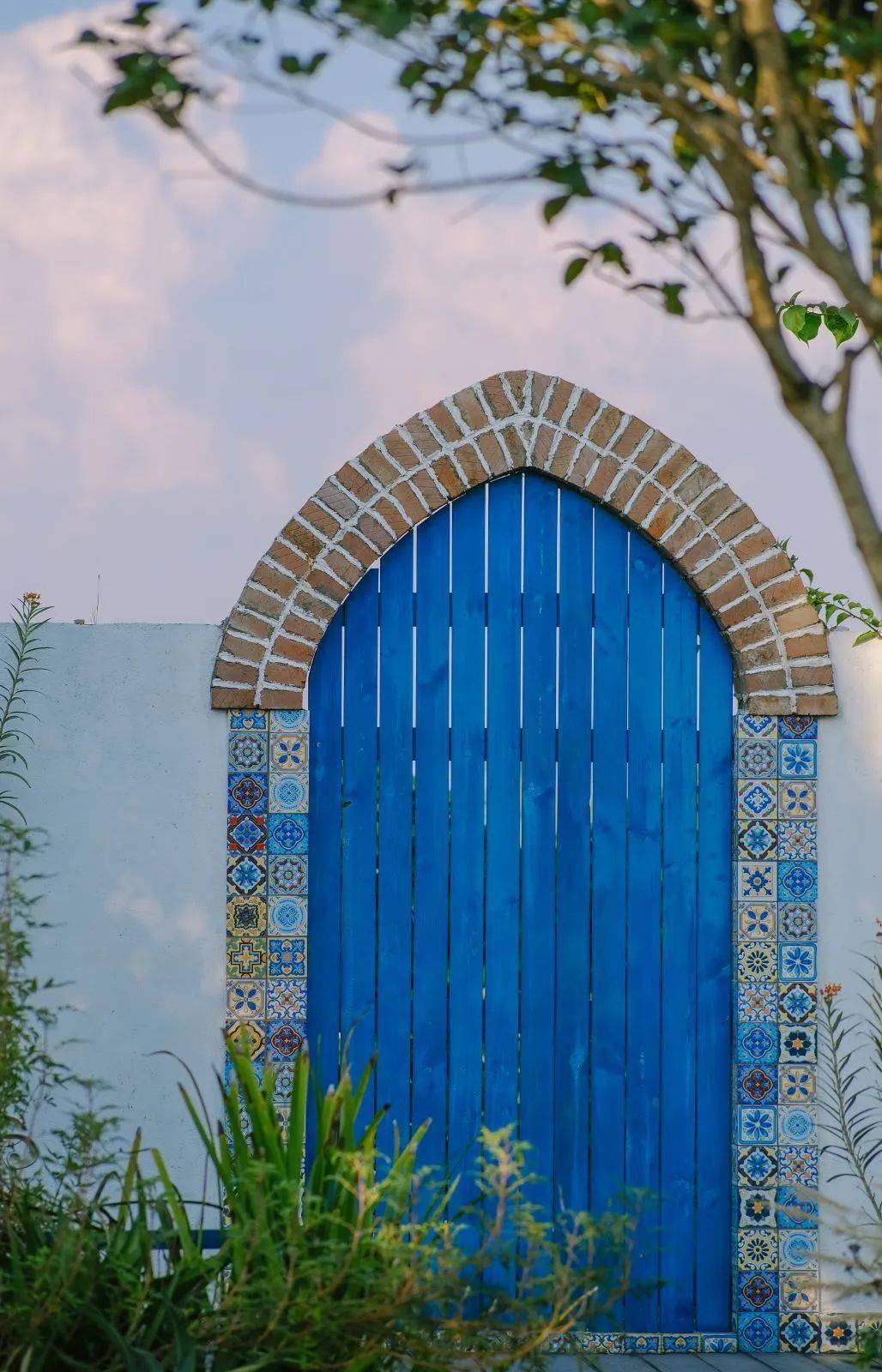 桂林红顶花园的绣球花开啦!