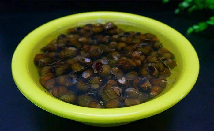 明日清明清明前它最肥10块钱2斤嘬一天