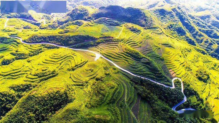 楊華幹河溝水庫 楊華宋家坪村 楊華安洛河 楊華安底桂花村 楊華