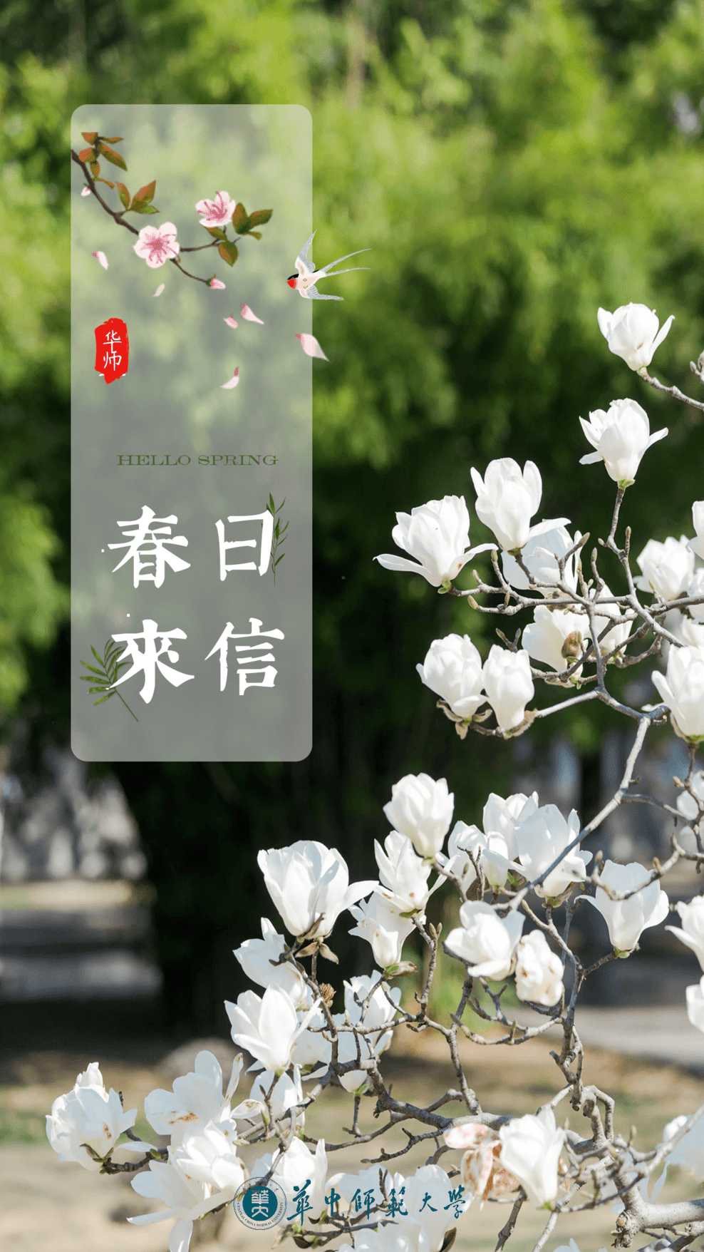 差你一票我的作品就出道春日来信总决选开始啦