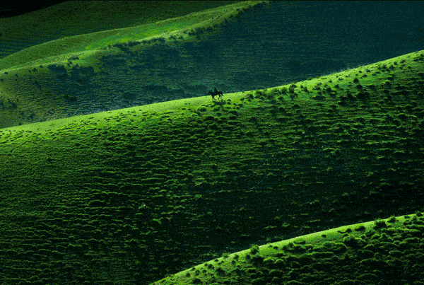 600_403gif 动态图 动图