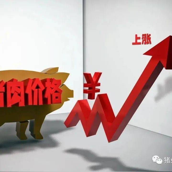 猪价5连涨，还能涨多久？专业人士：6月猪肉供应过剩局面将会缓解产能生猪影响 1080