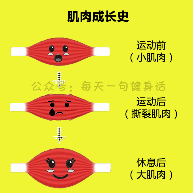 肌肉膨胀变巨大 生长图片