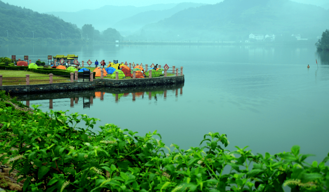 清明丨万物生长气清景明闻茶香尝茶鲜莫负人间四月天