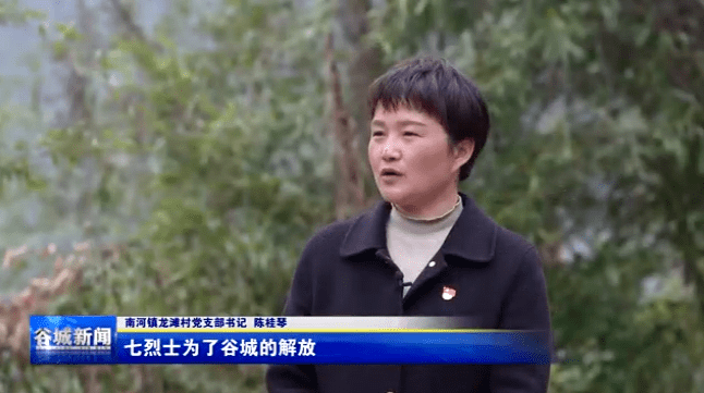 清明节央视点赞谷城这项工作