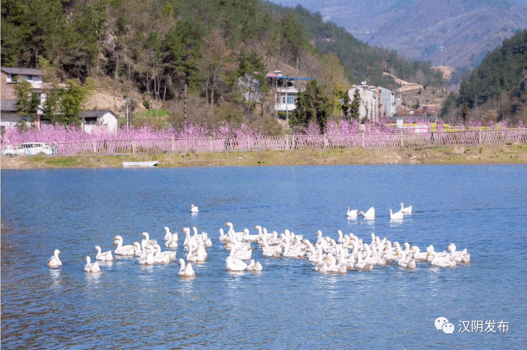 汉阴桃花谷图片