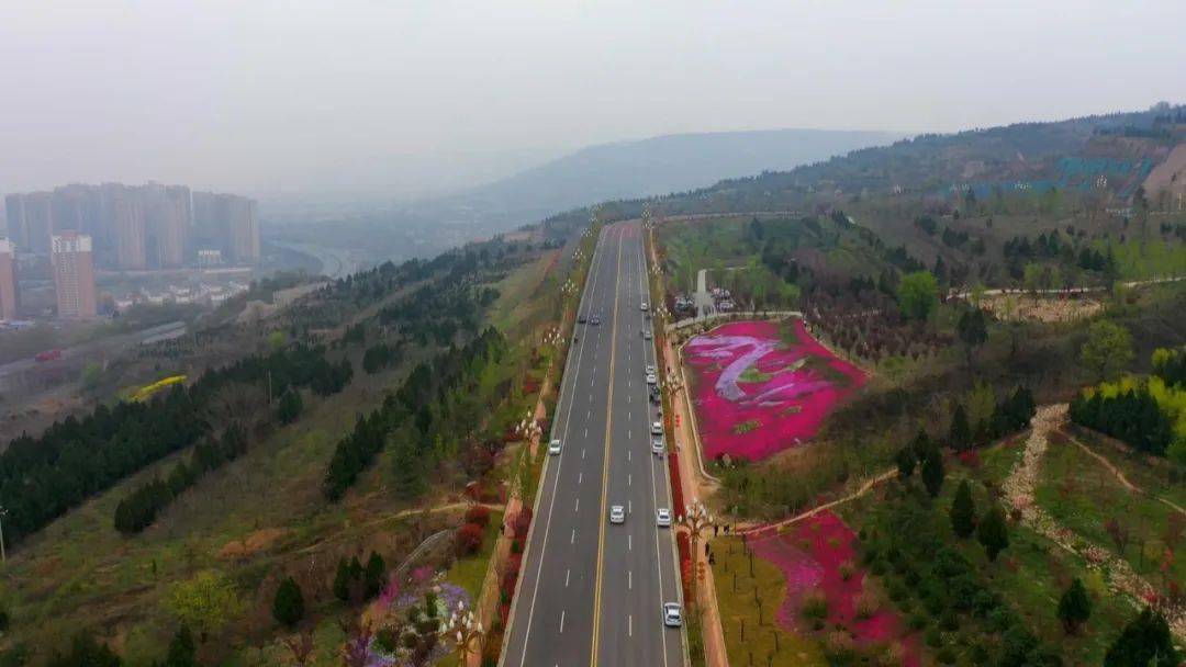 這裡就是我們渭南的南塬郊野公園,在公路的西側有一大片的花海,像是被