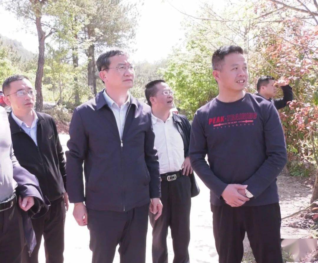 石城县:现场巡察督导,县长张小川提出这些要求_工作_保护_屏山镇