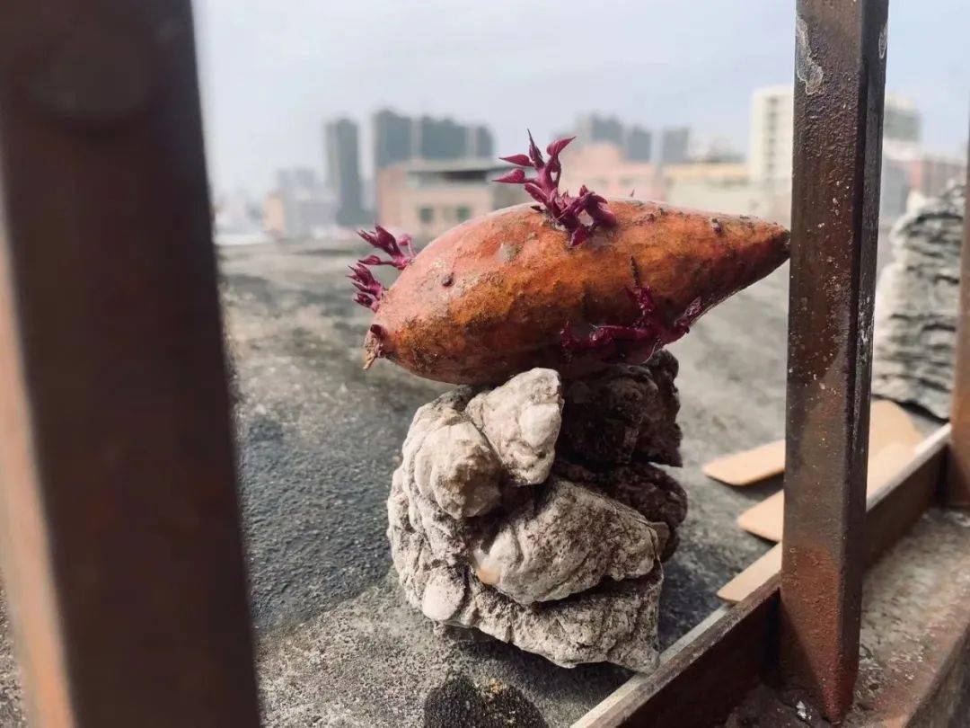 在太平间做皮肉生意的95后女孩