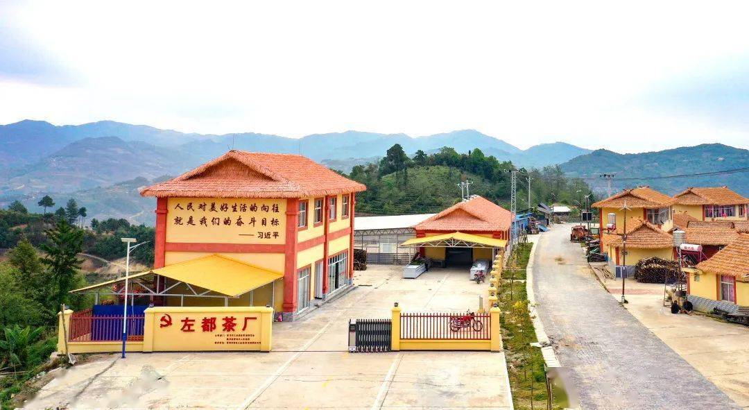澜沧:村里建起茶叶初制所 因地制宜解产业难题_左都茶_都村_发展