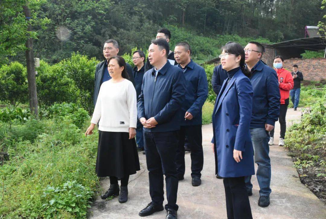 朱华伦带队巡查久远河