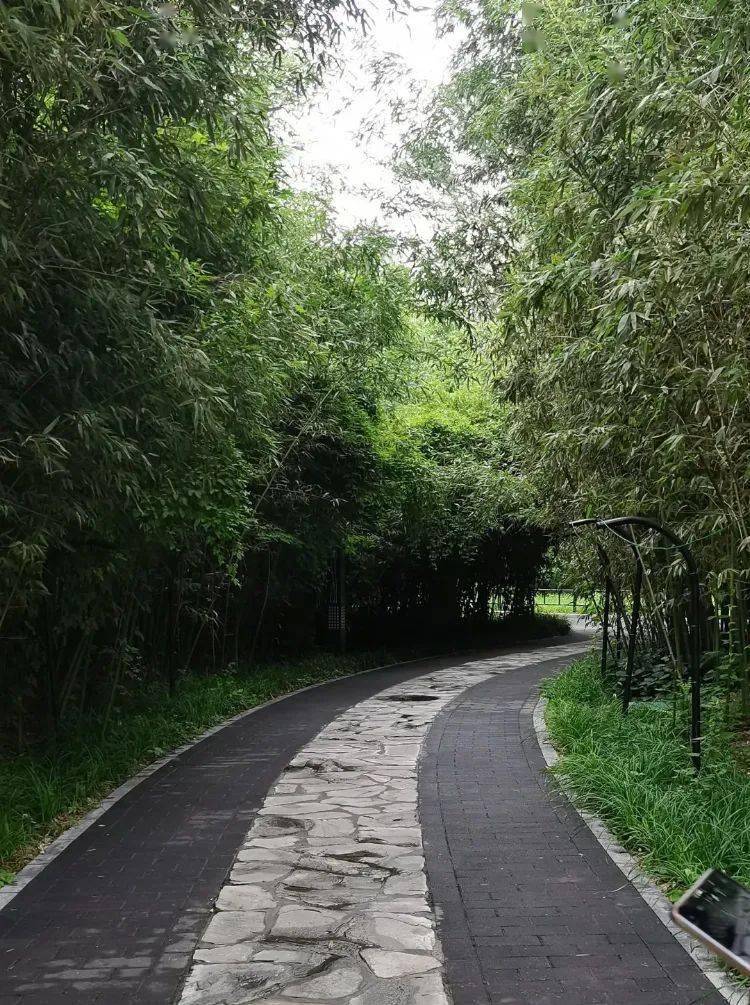 有一种分手魔咒叫紫竹院公园