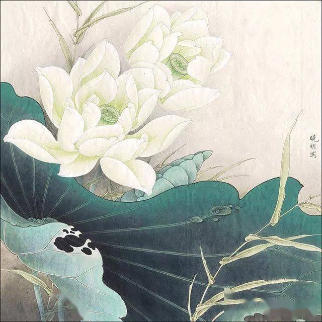 国画技法:工笔画《白荷亭亭》步骤示范!_花头_水草_藤黄
