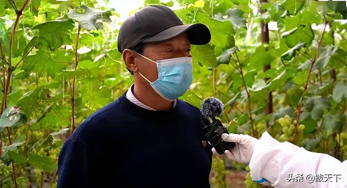 鲅鱼圈防疫不松动春耕不耽搁