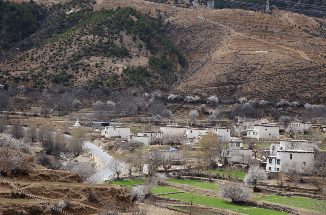 双巴一家亲的故事还在继续······_双流_巴塘县_发展