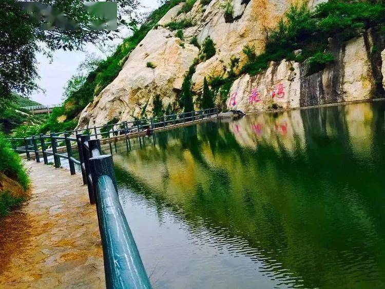 灵宝娘娘山的春天新绿初绽有树可栖