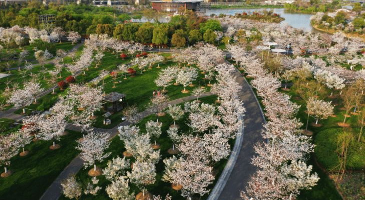 春风晴翠｜和鸣自然，2022宁波绿城植物园向新之作
