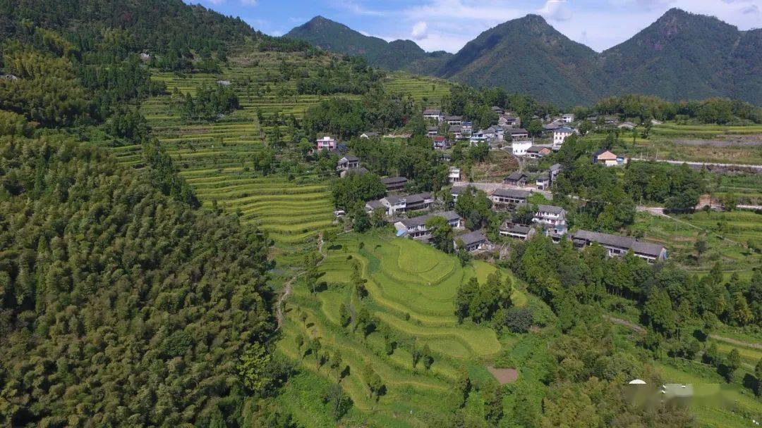 收藏丨泽雅镇获省级革命老区乡镇36个村被认定为市级革命老区村