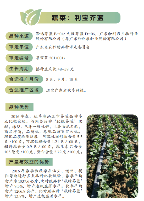 普薯32號廣紫薯8號廣菜薯5號隴薯7號雲薯306汕油誘1號汕油188航花2號