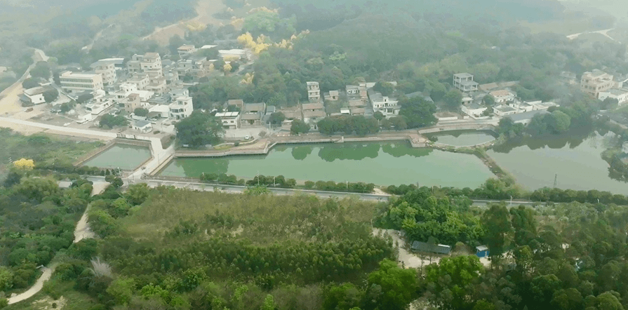 航拍空中看花都我的家乡联星村