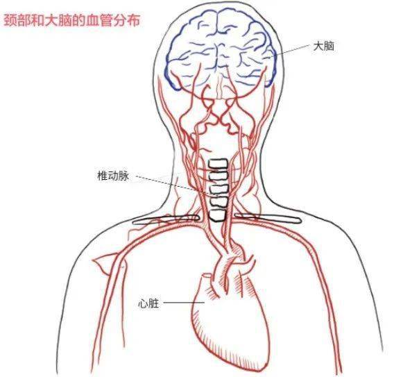 健康科普 经常头痛