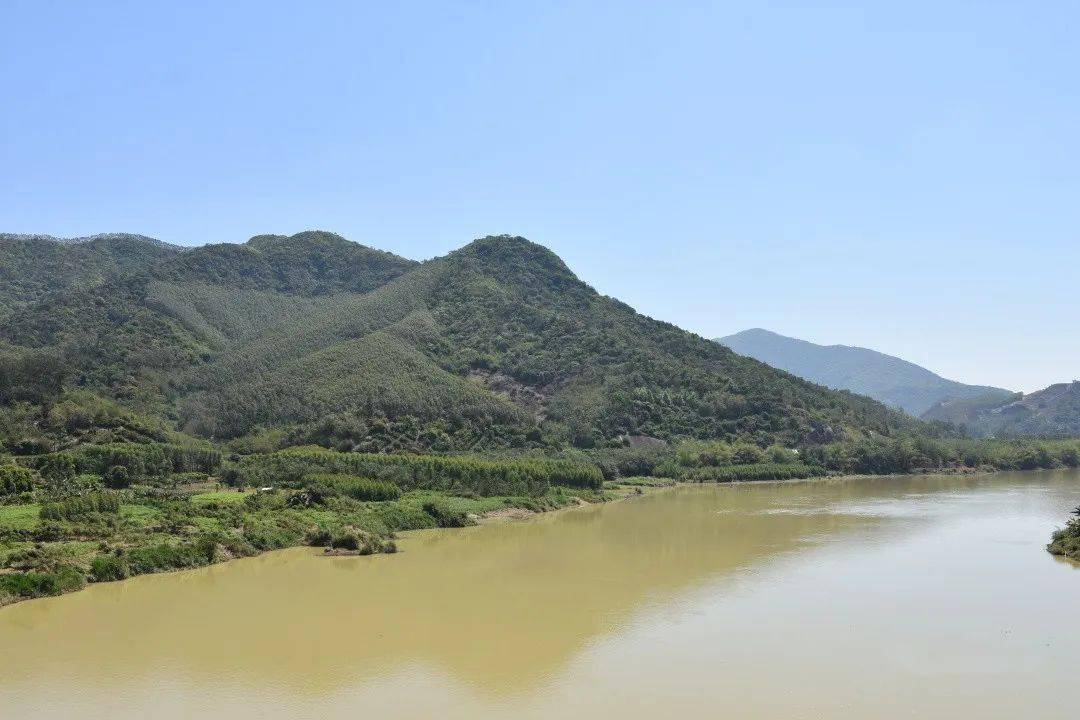 沙建镇:高科技助力,牛蛙养殖无所遁形