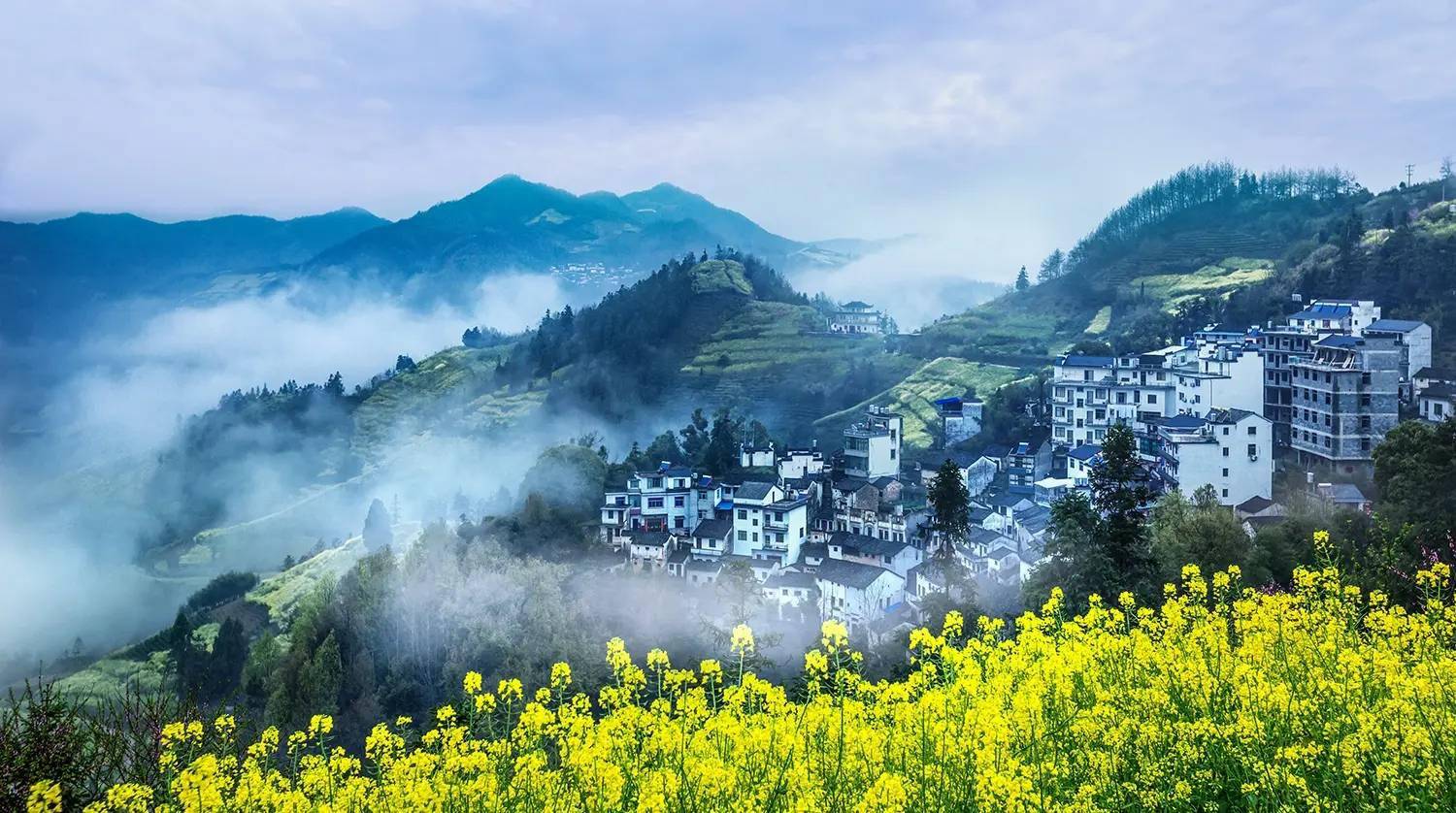 春季的石潭村漫山遍野的油菜花梨花盛开是真正的世外桃源