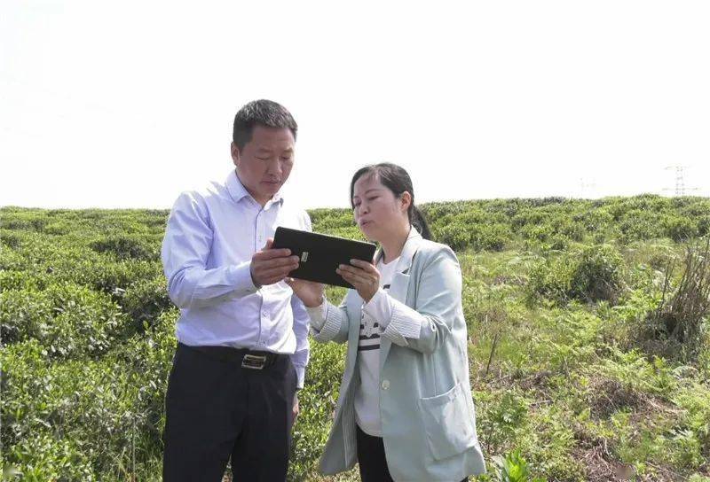 田兴国调研项目建设情况