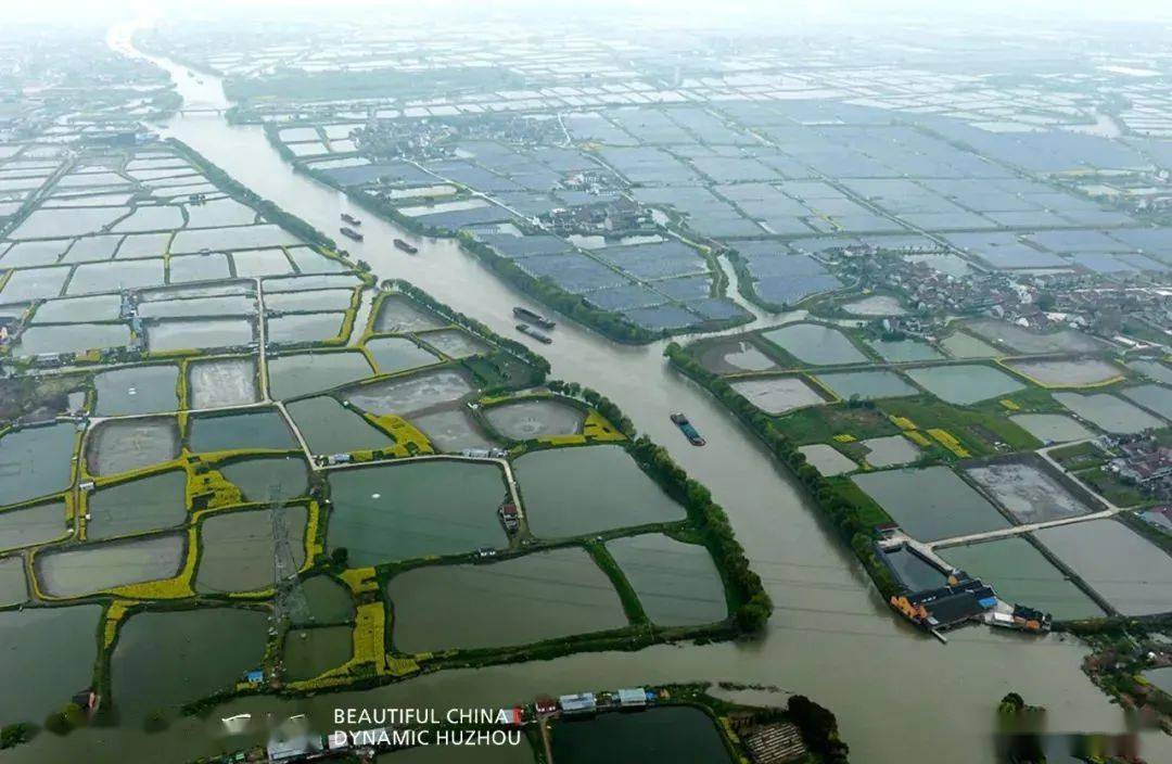 开始,湖州的劳动人民为了解决低洼地的洪涝灾害问题,通过溇港圩田系统