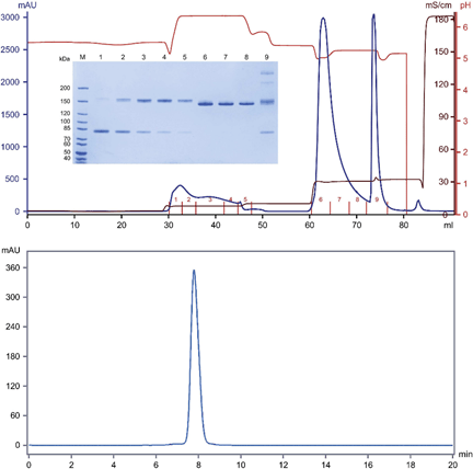 capto mmc impres compression factor