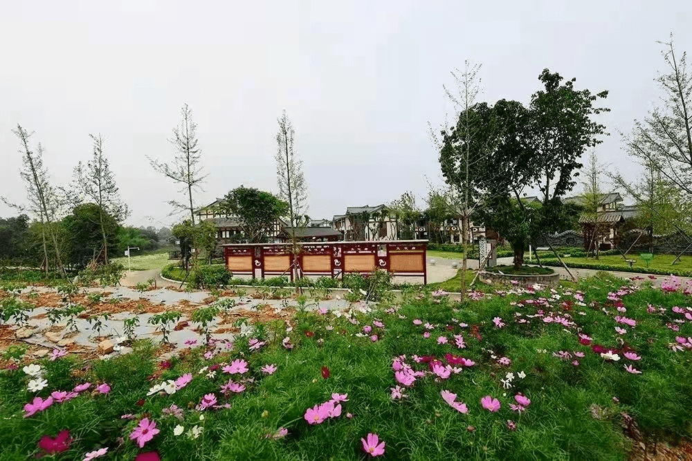 九味双流 | 我有我的young,黄甲期待与您幸福邂逅_社区_空间_双兴