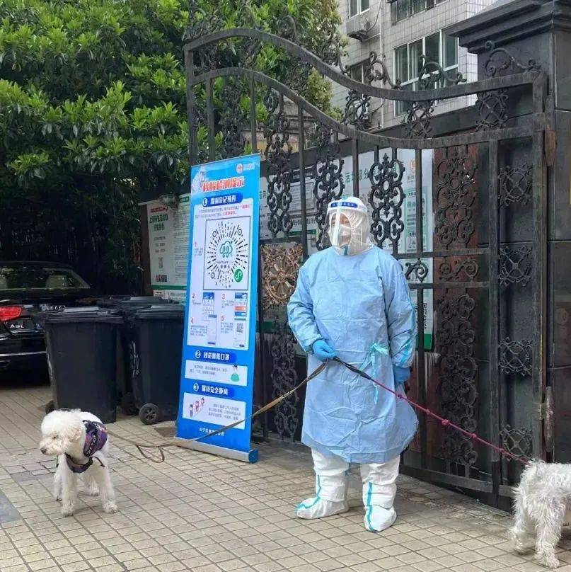 “谁要带鱼？烧不来有点浪费”业主群里一条信息收到大量回复，内容出乎意料……_上海_疫情_物业