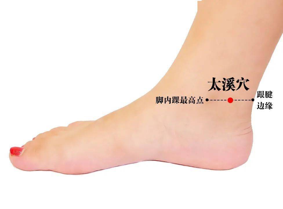 人体有个穴位堪称十全大补药北京最贵医生