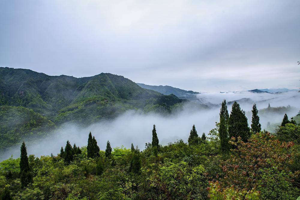 青山如畫 美賽桃源_打通鎮_趕水鎮_綦江區